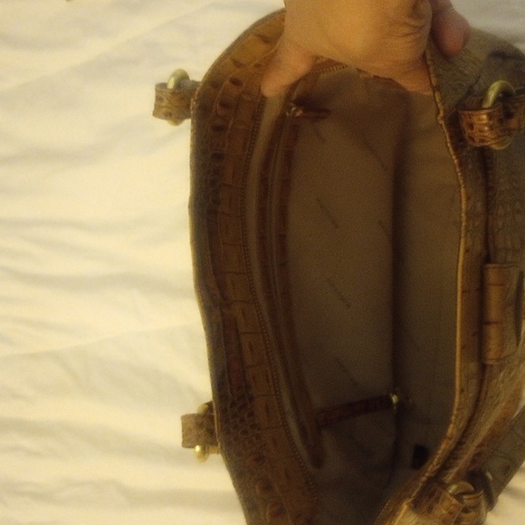 Brahmin - Picture 7 of 12